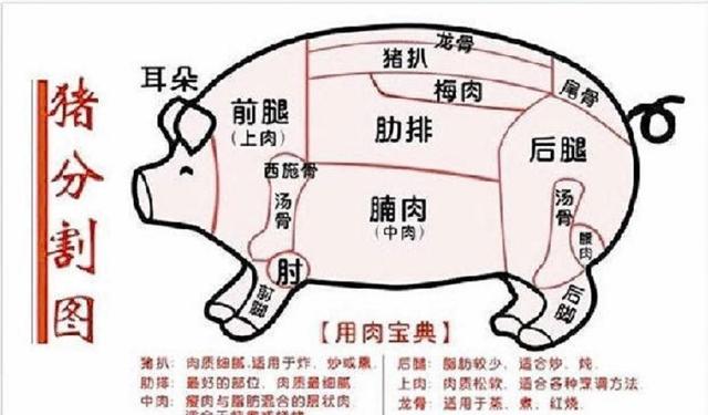 涨知识:猪肉为什么不如以前香了?是猪的品种问题还是饲料问题?