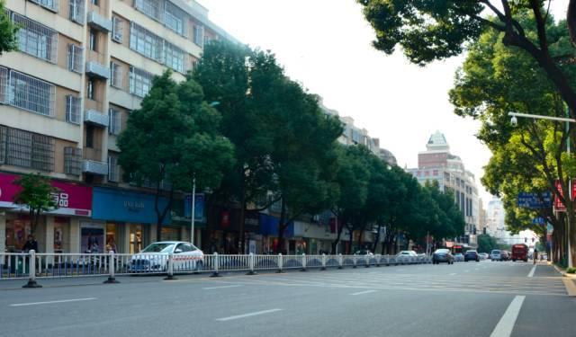 今年慈溪城区这15条路有了大变化