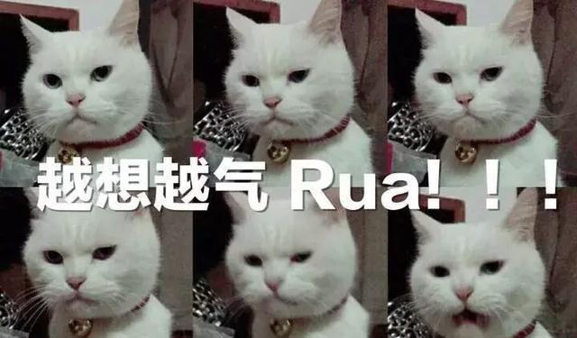 我要怎么阻止臭铲屎的拍我丑照,先来句敲里lailai试试