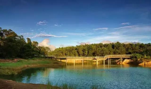 深圳夏天户外公园好去处,全国最大生态湿地公园