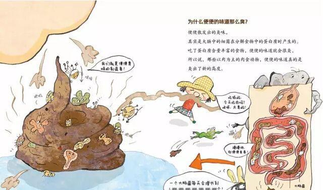 梦境解析，拉出虫子后变为大便——一场关于自我净化与重生的奇妙旅程