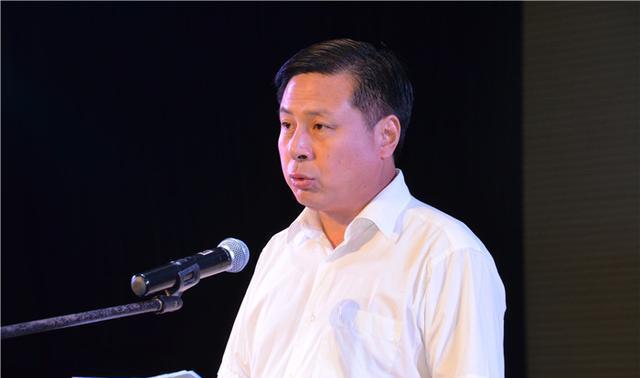 颍上县委副书记丁思彬致辞