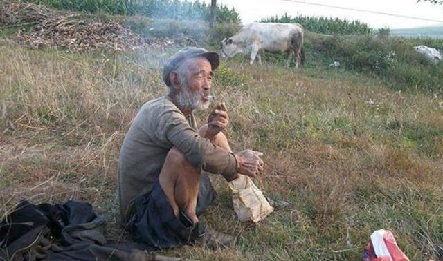 老汉山里遭白蛇咬伤,不愿杀生,事后竟白头人送黑头人