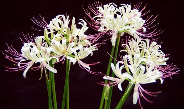 做人有八苦这三苦最无奈