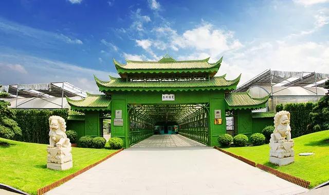 廊坊金丰农科园风景秀丽,田园风光