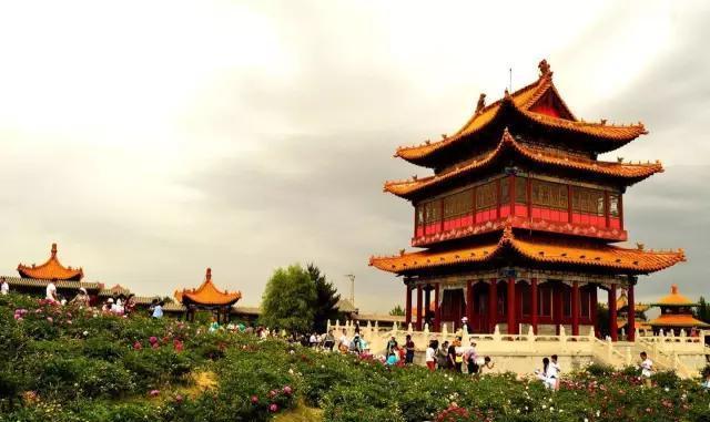 和林芍药旅游节开幕式当日(5月29日)将免收门票啦!快约!_新浪新闻