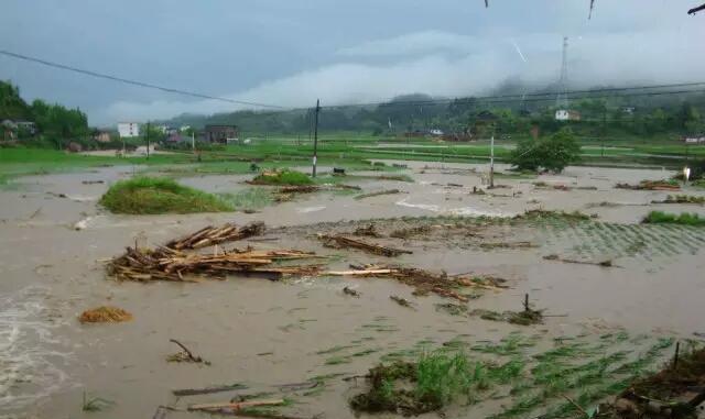 面对洪水,我们该如何应急逃生?