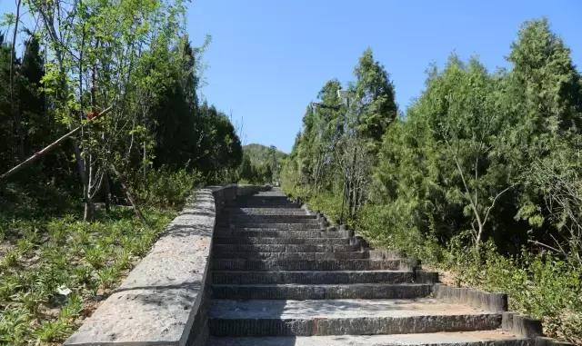蓝天青山同在!五顶茂陵山山体公园全部建设完成!