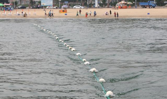 烟台第一海水浴场撤收防鲨网,泳区关闭!