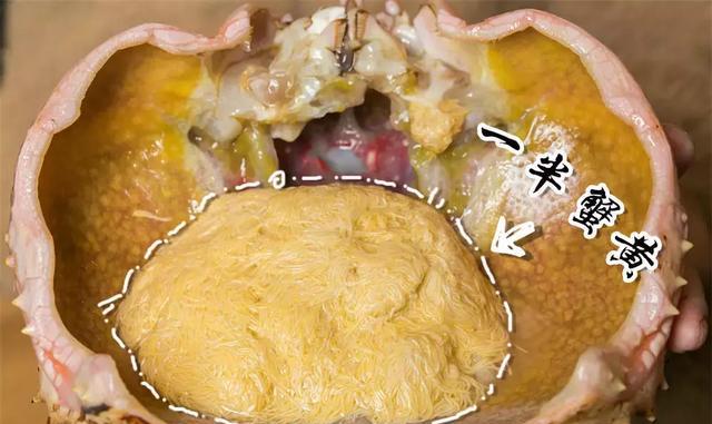 半个男票高!魔都豪华级"活帝王蟹6吃",叫上朋友省1000!