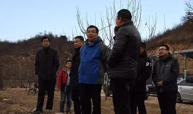昌平区副区长李志杰同志检查延寿镇元旦期间安全稳定工作开展情况
