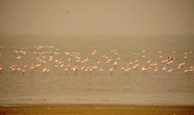 毛里塔尼亚到塞内加尔,陆路免签