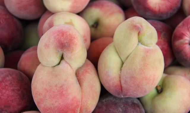 临汾果农家桃树结满奇形怪状的桃子,看了竟然会脸红!