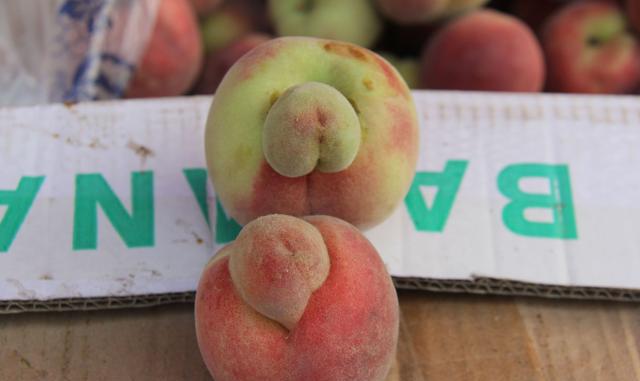 临汾果农家桃树结满奇形怪状的桃子,看了竟然会脸红!