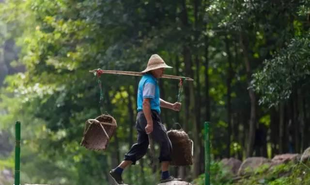 电视机|漳浦|扁担_新浪新闻