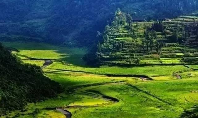 更多赏菊地推荐:茅塔乡千菊百卉苑,汉江绿谷,四方山国庆7天2018.10.