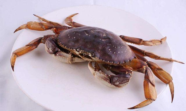 小谷美食面包蟹珍宝蟹皇帝蟹雪蟹香槟蟹好吃停不下