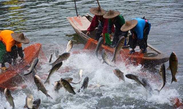 品味徽州古韵赏新安江渔趣
