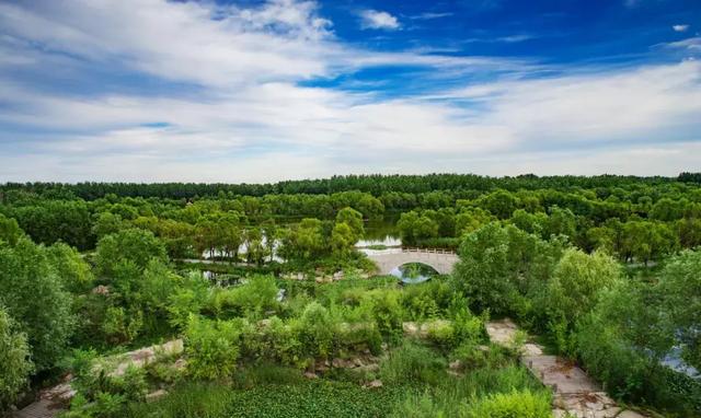 湿地公园|白浪河|湿地_新浪新闻