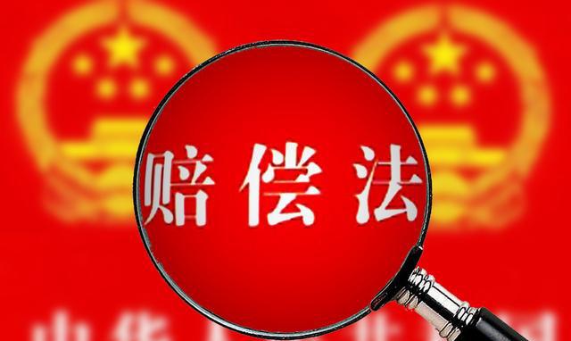 男子被撞飞砸在路边电动车上死亡电动车主因违停被判赔偿2万