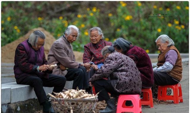 常回家看看父母:全国接近50%老人将节后感受"空巢"痛苦