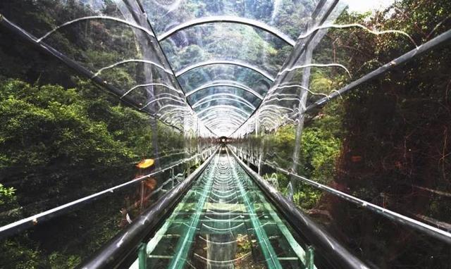 在长达200米的封闭滑道里溜过去,眼前美景仿佛触手可及,到时,各位街坊