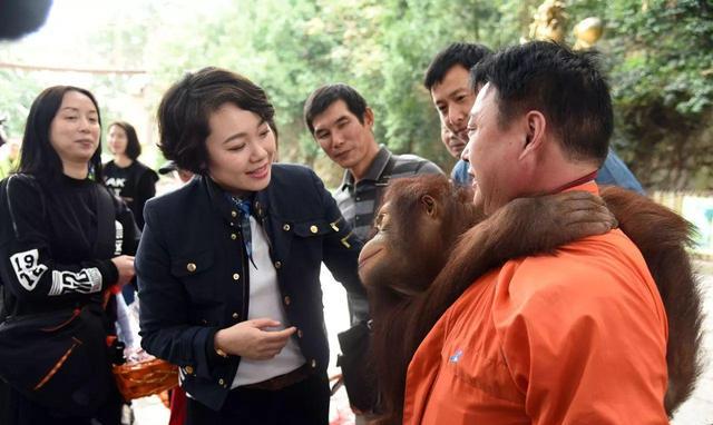 第一现场15周年探亲之旅狮虎兽三胞胎可还认得干爸干妈