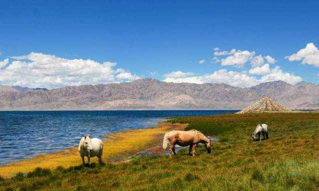 中央供料系统工程实例 五行属火的公司好名字