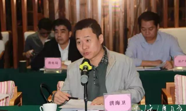 鼎龙集团负责人龙学勤汇报碧桂园鼎龙湾国际海洋生态度假区在建项目