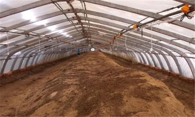 发酵床养鸡环保不用清理鸡粪用稻壳和秸秆来做发酵床垫料的方法