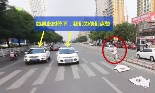 交警提醒:礼让行人,行人不走,车主应这样,否则扣3分罚200!