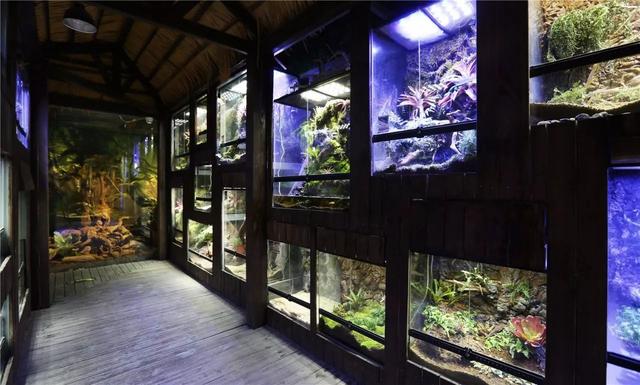 郑州首座室内动物主题公园疯狂开园,带你体会不一样的动物世界