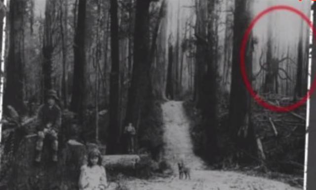 揭秘: 神秘的无脸人, 曾出现在二战时期, 撸掠大量孩童的斯兰达人