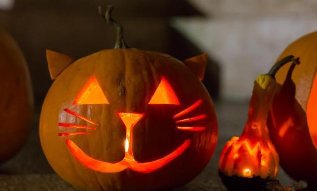 南瓜灯制作起来十分方便,接下来让小编为大家介绍一种简单的方法吧.