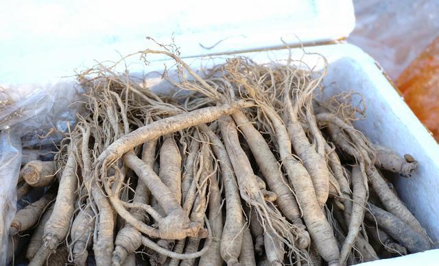 霸王必备!郊区集市上卖50块钱一斤的这玩意,你认识吗?