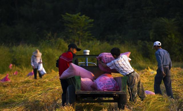 吃苦教育的内涵是什么 该让孩子吃什么样的苦