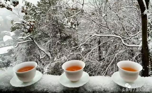 今年武夷山春茶的品质能有多好看看这场大雪就知道了