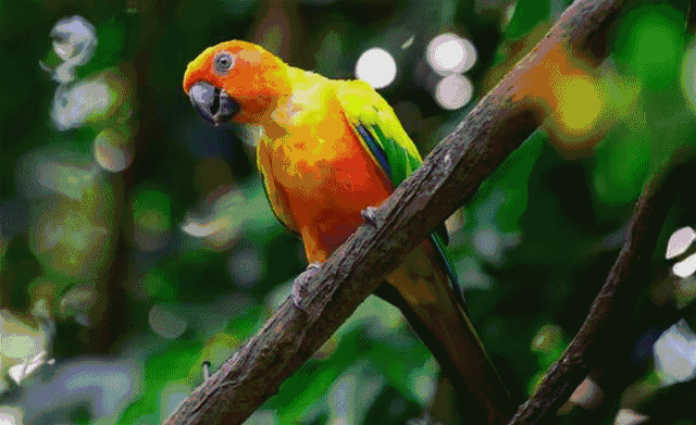 640_391gif 动态图 动图