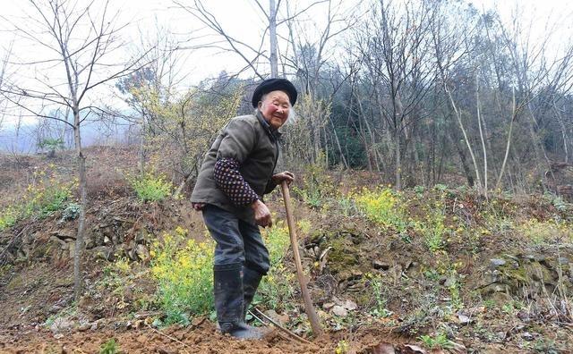 山里八旬老人孤苦伶仃,盼不到儿孙归来,最害怕死亡无人送终!
