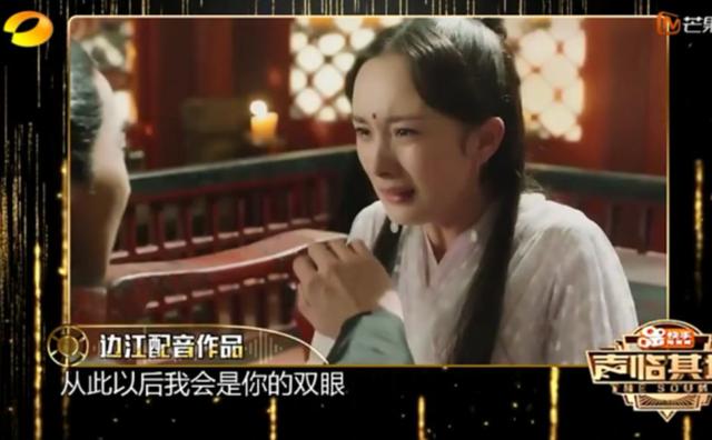 电视剧《老九门》中为剧中张启山配音.