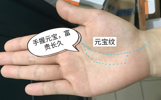 智慧线代表一个人的才华,口才,能力,就如八字命理中的食神伤官一样