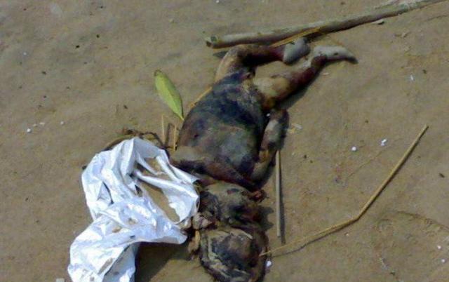 网上传出类似于的"水鬼"图片