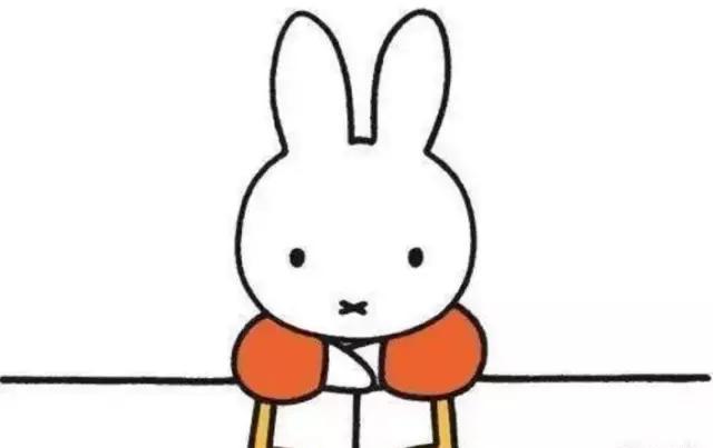 这只荷兰国宝miffy米菲兔的来历