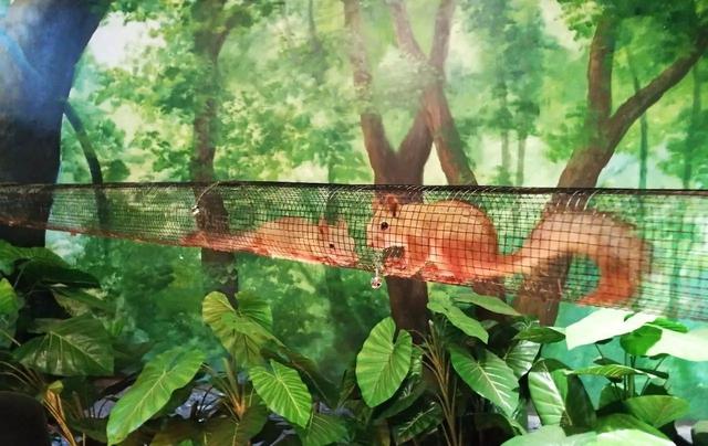 郑州首座室内动物主题公园疯狂开园,带你体会不一样的动物世界