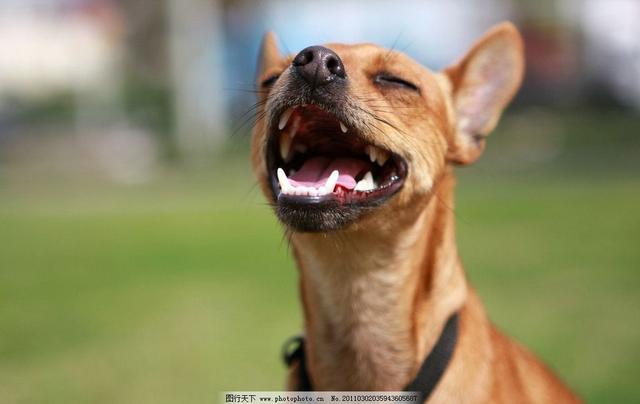 香港经典搞笑电影推荐 乔迁之喜祝福语录