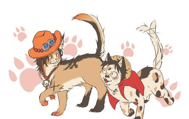 四皇红发香克斯一生的宿敌兼好友,索隆一生的目标乔拉可尔·米霍克