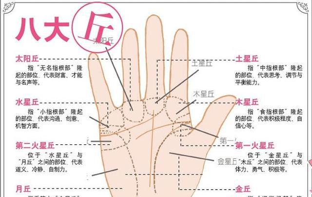 精准,手相看你是否福泽深厚