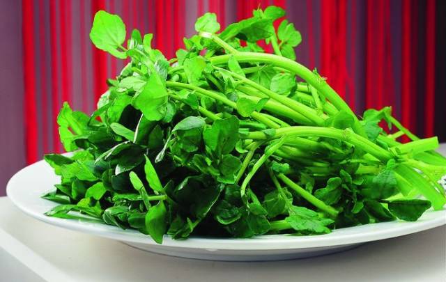 农村水边湿地的这种野菜的学名很少人知道,大家都叫它西洋菜!