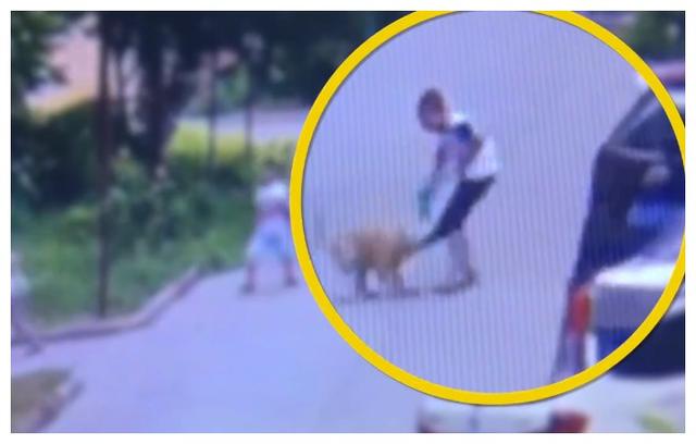 2个小孩被狗狗咬伤,小区监视器一看,家长提心吊胆!