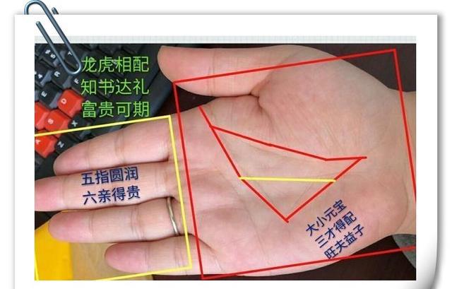 上有龙凤祥,手有龙虎配,此生不缺粮,必是富贵人|手相|龙虎|龙凤祥